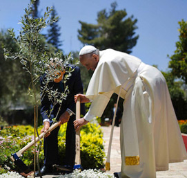 Laudato si